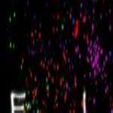 Download Fireworks Cell Phone Software